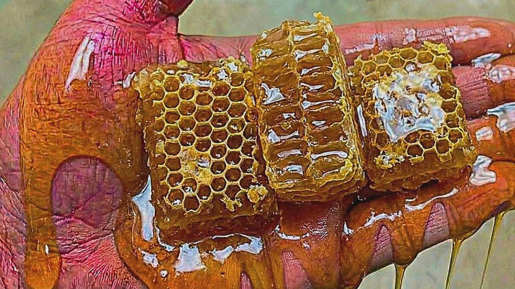 Blood sugar research and natural support